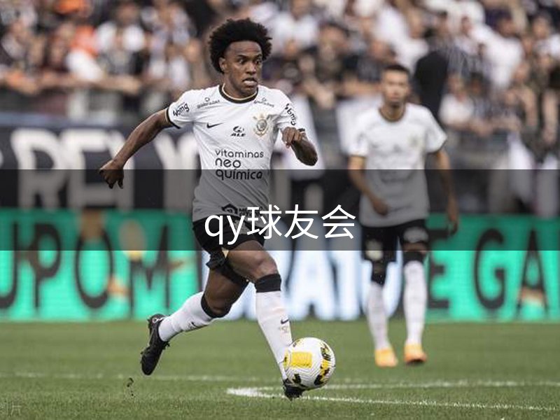 公司介绍